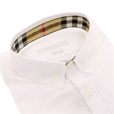 burberry camicia bianca